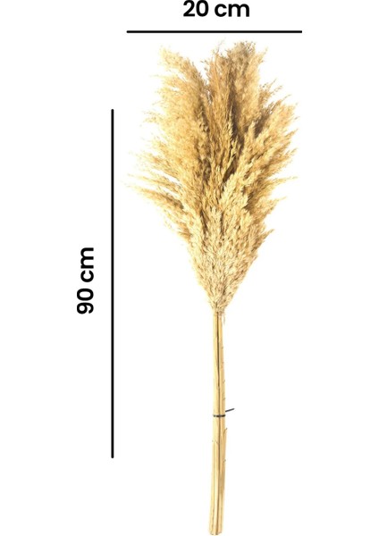 Deco Pampas Yapay Çiçek - Bej - 90X20 cm