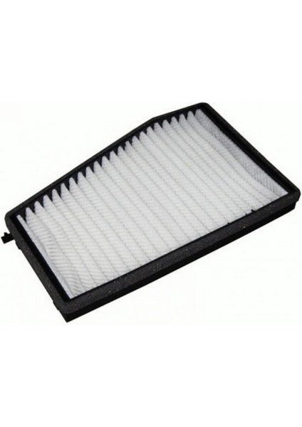 Polen Filtresi (Evanda) Dpmah