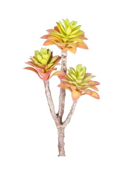 Yapay Kaktüs Sukulent Kırmızı/yeşil 35 cm