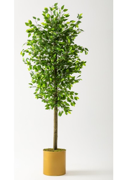 Yapay Benjamin Ağacı 200 cm Gold Metal Metal Saksı
