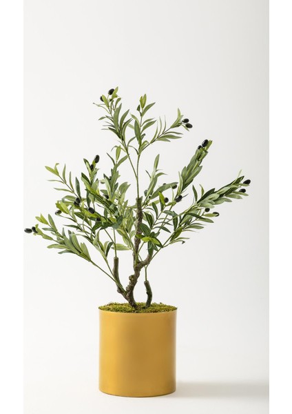Yapay Zeytin Ağacı 85 cm Gold Metal Saksı
