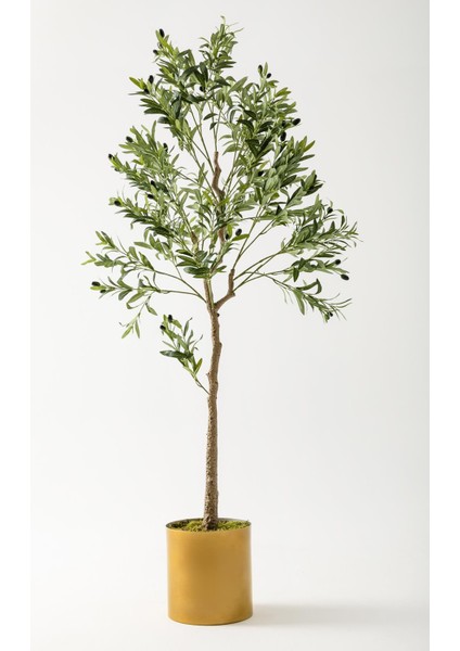 Yapay Zeytin Ağacı 175 cm Gold Metal Saksı