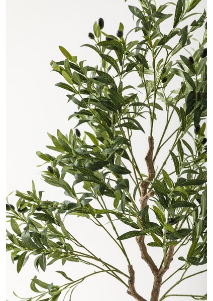 Yapay Zeytin Ağacı 175 cm Krem Gold Metal Saksı