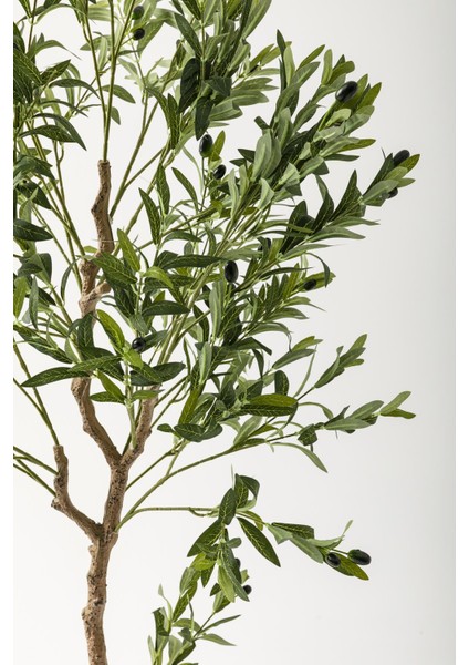 Yapay Zeytin Ağacı 175 cm Krem Gold Metal Saksı