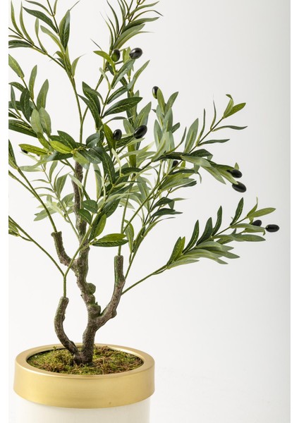 Yapay Zeytin Ağacı 85 cm Krem Gold Metal Saksı modelleri