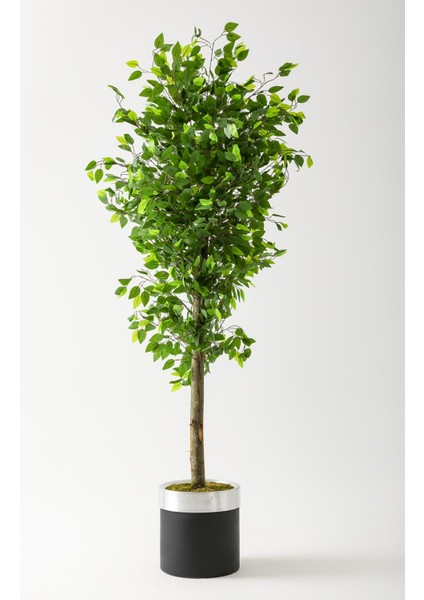 Yapay Benjamin Ağacı 200 cm Siyah Gümüş Metal Saksı