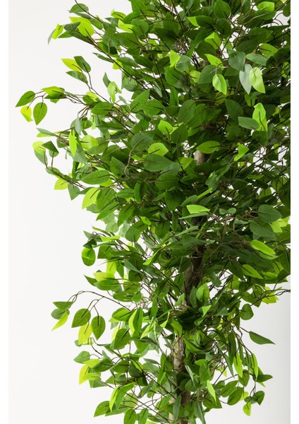 Yapay Benjamin Ağacı 200 cm Siyah Gümüş Metal Saksı fiyatları