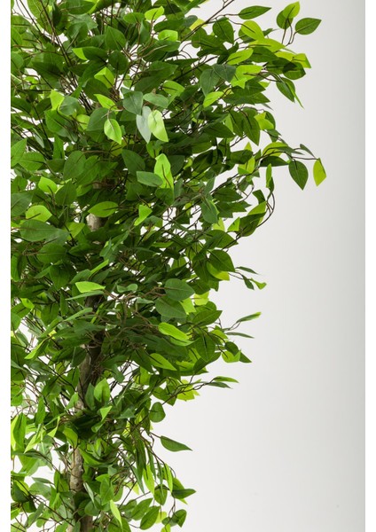 Yapay Benjamin Ağacı 200 cm Siyah Gümüş Metal Saksı modelleri