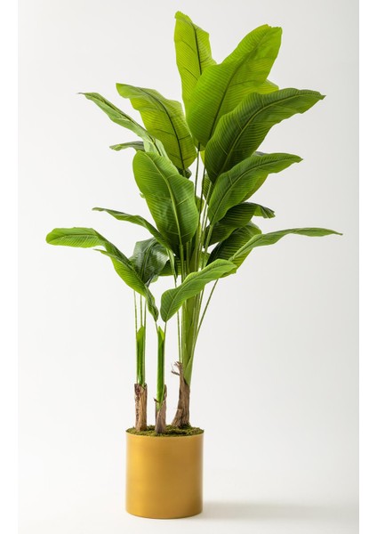 Yapay Muz Ağacı 180 cm Gold Metal Saksı