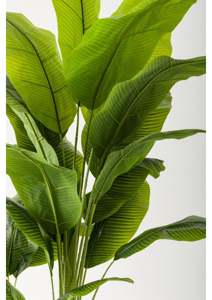 Yapay Muz Ağacı 180 cm Gold Metal Saksı modelleri