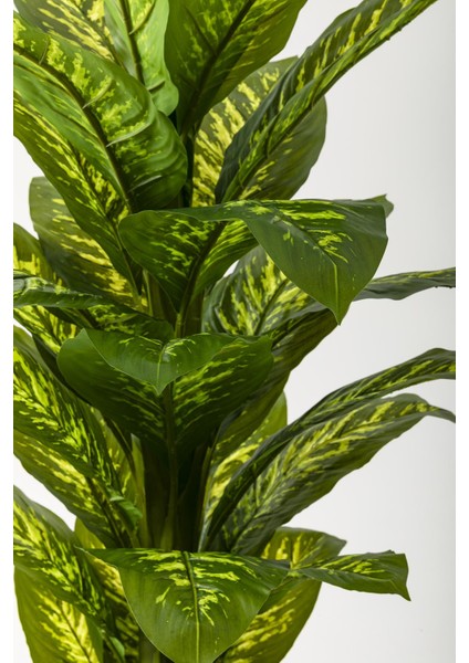 Yapay Difenbahya Ağacı 160 cm Kahverengi Gold modelleri