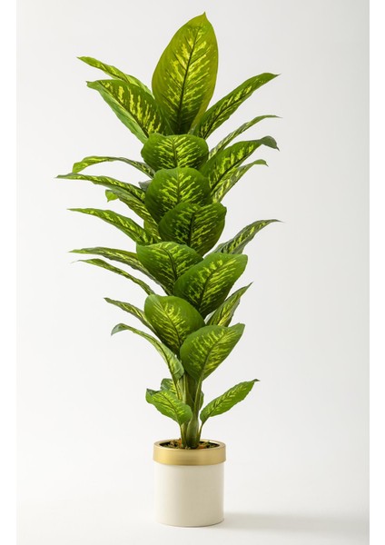 Yapay Difenbahya Ağacı 160 cm Krem Gold Saksı