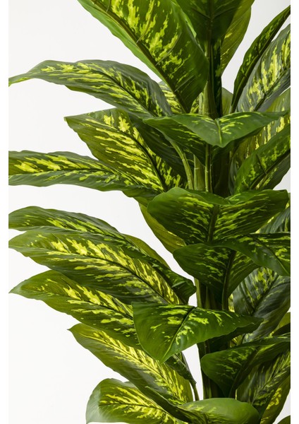 Yapay Difenbahya Ağacı 160 cm Krem Gold Saksı fiyatları