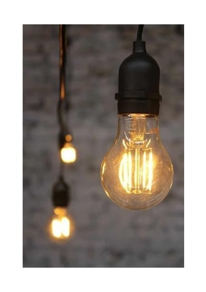 4W A60 LED Filament Ampul E27 Sarı Işık Dekoratif Vintage Aydınlatma (2, Amber Cam)