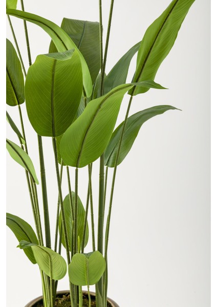 Yapay Starliçe Ağacı 230 cm Kahverengi Eskitme Damla Saksı fiyatları