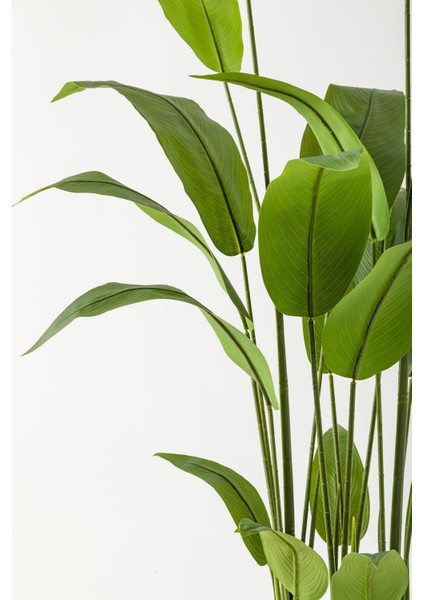 Yapay Starliçe Ağacı 230 cm Kahverengi Eskitme Damla Saksı modelleri