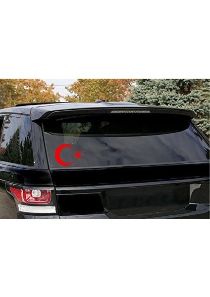 Masters Türk Bayrağı Sticker 20 cm