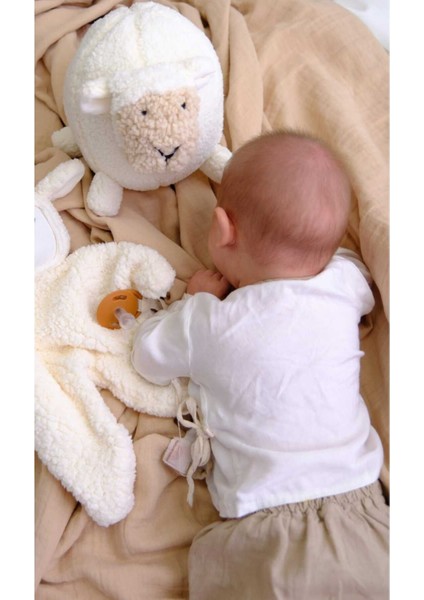 Elite Çocuk Bebek Uyku Arkadaşı Shelly Kuzu Yastık 40 cm 1 Adet