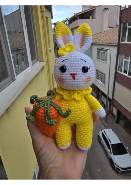 Ami Amigurumi 1 Adet