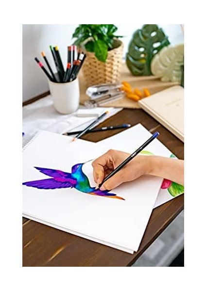 Color Up Üçgen Kuru Boya Kalemi, 24'lü Kutu
