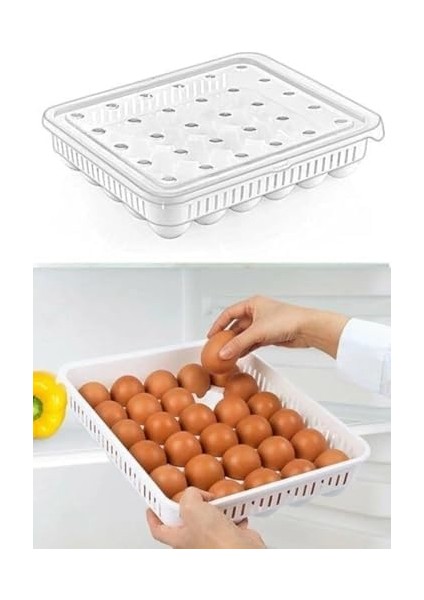 30'lu Kapaklı Yumurta Saklama Kabı, Akrilik Plastik Yumurtalık Organizer