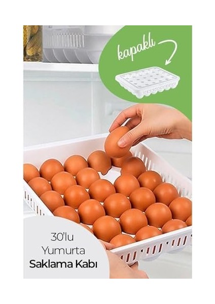 30'lu Kapaklı Yumurta Saklama Kabı, Akrilik Plastik Yumurtalık Organizer