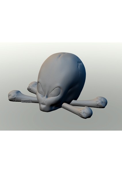 Ufo Kafatası (Plastik Aparattır)