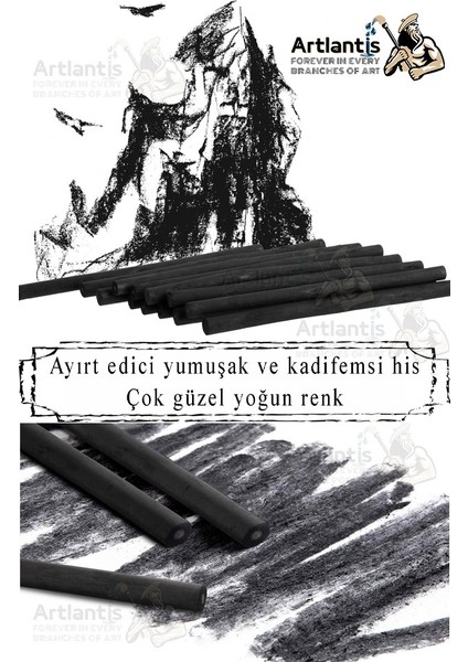 Kömür Çubukları Doğal Füzen 12 Li 1 Paket Eskiz Karakalem Çizim Gölgeleme Kömürü Siyah Willow Charcoal Hobi Sanat modelleri