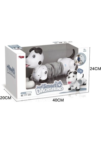GL-777-603 U/k Işıklı ve Sesli Sevimli Robot -Vrd modelleri