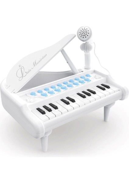 BAO-1505A Mikrofonlu Mini Piano 24 Tuş Mp3 Çalar