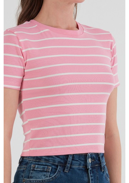 Basic Çizgili Crop Tişört indirimleri
