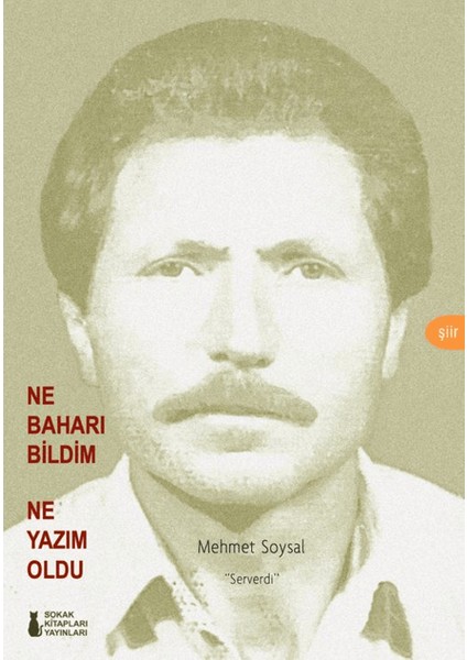 Ne Baharı Bildim Ne Yazım Oldu