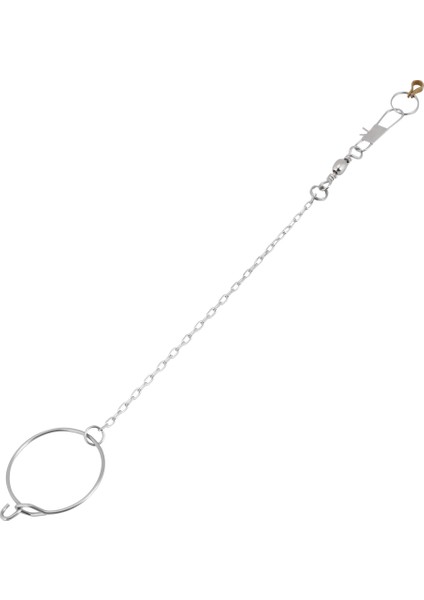 3.5/4.5/5.5 mm Paslanmaz Çelik Pet Papağan Kuşlar Ayak Standı Zincir Yüzük Oyuncaklar 4.5 mm (Yurt Dışından)