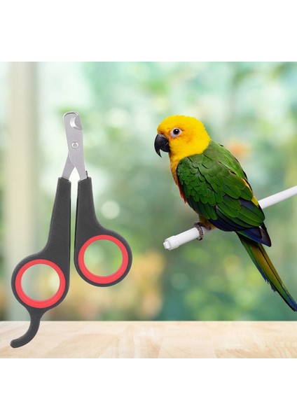 Pet Kuş Papağan Küçük Hayvanlar Aksesuar Tımar Aracı Tırnak Makası Makası Siyah ve Kırmızı (Yurt Dışından) fiyatları