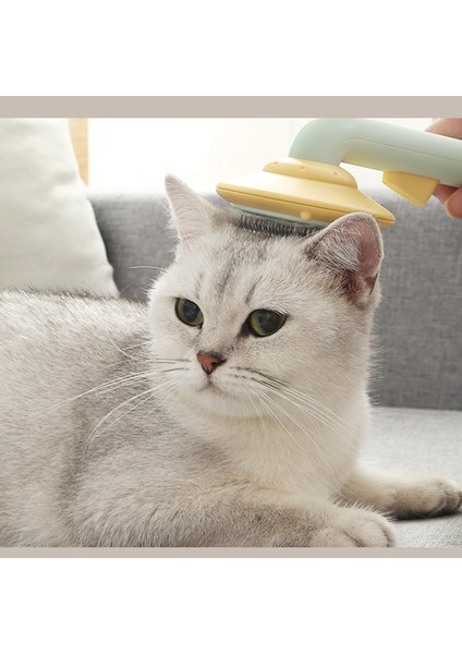 Pet Silikon Tarak Rahat Masaj Kendi Kendini Temizleyen Epilasyon Pet Bakım Saplı Fırça Evcil Hayvanlar Için Avokado Pet Kendi Kendini Temizleyen Tarak (Yurt Dışından)