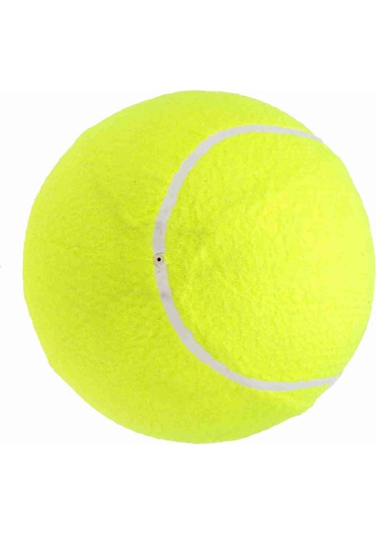 9.5 " Büyük Boy Dev Tenis Topları Şişme Tenis Topu Pompa ile Köpek Oyuncak Topları Imza Çocuk Yetişkin Evcil Köpekler Kediler Eğlenceli (Yurt Dışından)