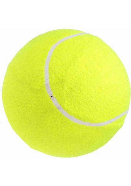 9.5 " Büyük Boy Dev Tenis Topları Şişme Tenis Topu Pompa ile Köpek Oyuncak Topları Imza Çocuk Yetişkin Evcil Köpekler Kediler Eğlenceli (Yurt Dışından)