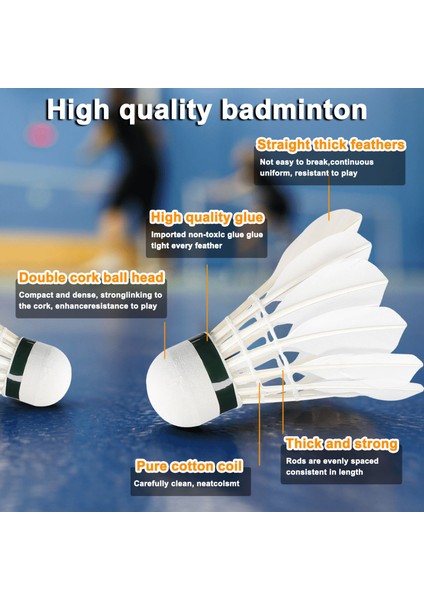 Eğitim Badminton Raketi Raketle Seti Beden Eğitimi Egzersiz Spor Ekipmanı Demir Alaşımlı Badminton Raketi Kiti (Yurt Dışından)