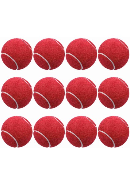 12 Packs Basınç Eşleştirme ve Eğitim Tenis Topları (Yurt Dışından)