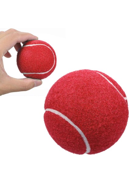12 Packs Basınç Eşleştirme ve Eğitim Tenis Topları (Yurt Dışından)