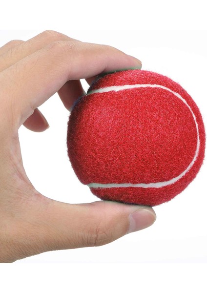 12 Packs Basınç Eşleştirme ve Eğitim Tenis Topları (Yurt Dışından)