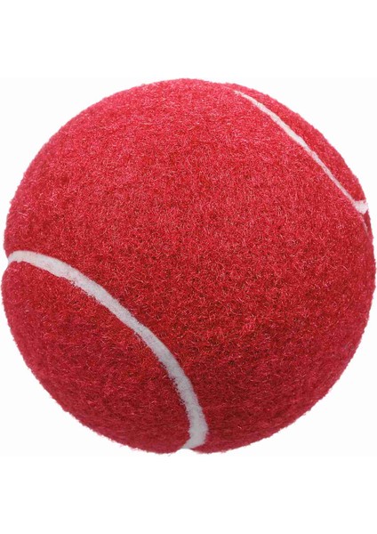 12 Packs Basınç Eşleştirme ve Eğitim Tenis Topları (Yurt Dışından)