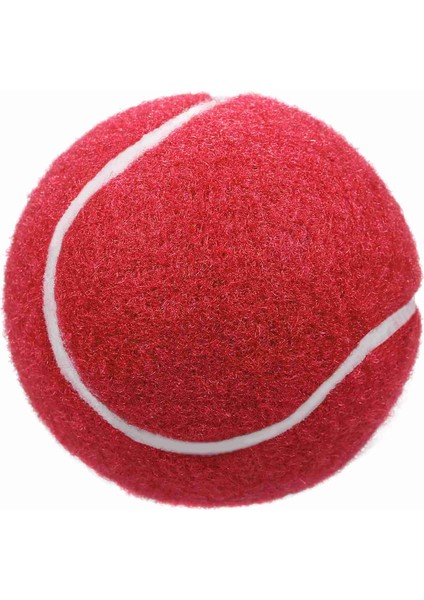 12 Packs Basınç Eşleştirme ve Eğitim Tenis Topları (Yurt Dışından)