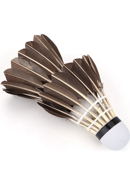 12 Adet/grup Dalı Badminton Topları Tüy Toplar Açık Hava Sporları Eğitim Aksesuarı (Yurt Dışından) fırsatları