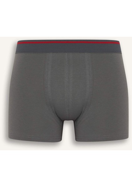 Regular Fit 3'lü Boxer E8708AX25HS