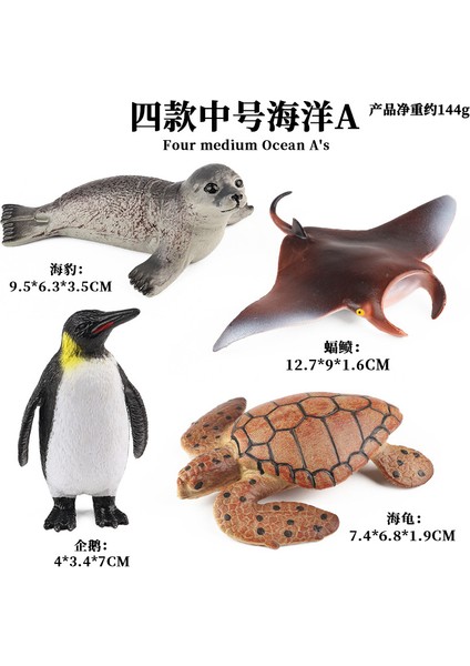 Deniz Yaşamı Modellerinin Simülasyonu (Yurt Dışından)