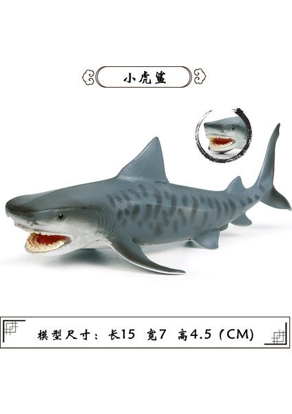 Deniz Yaşamı Modellerinin Simülasyonu (Yurt Dışından)