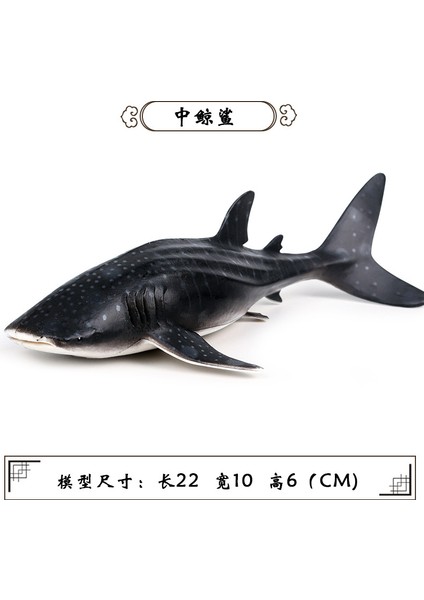 Deniz Yaşamı Modellerinin Simülasyonu (Yurt Dışından)