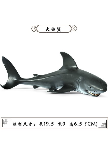 Deniz Yaşamı Modellerinin Simülasyonu (Yurt Dışından)