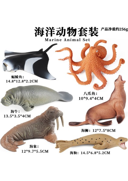 Deniz Yaşamı Modellerinin Simülasyonu (Yurt Dışından)